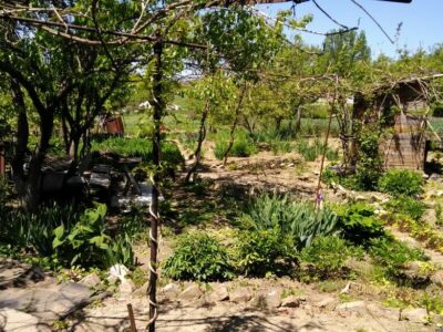 Продаётся дом в ст. Александрийской