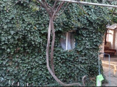 Продаëтся дом