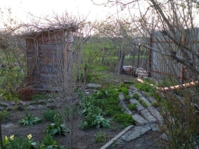 Продам дом в ст. Александрийской